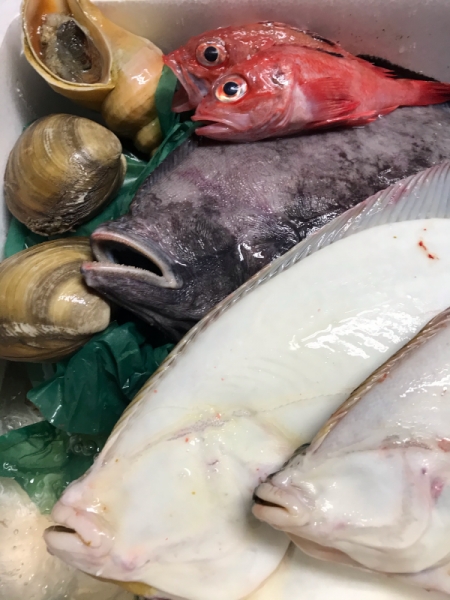 八王子 北海道産地直送天然素材 寿司 煮魚 和食 海鮮居酒屋 一人呑み 寿司 煮魚 かめ吉 本日の入荷情報 八王子市にある和食居酒屋 寿司 煮魚 かめ吉