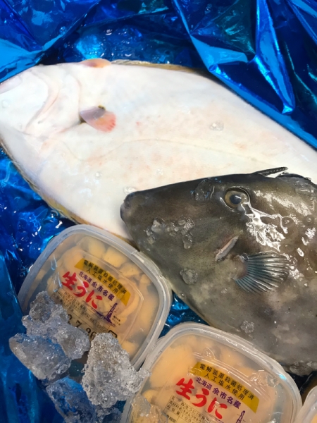 八王子 北海道産地直送天然素材 寿司 煮魚 和食 海鮮居酒屋 一人呑み 寿司 煮魚 かめ吉 本日の入荷情報 八王子市にある和食居酒屋 寿司 煮魚 かめ吉